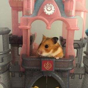 Meet your Posher, Renee